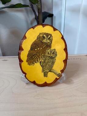 Vintage Wooden Owl Plaque